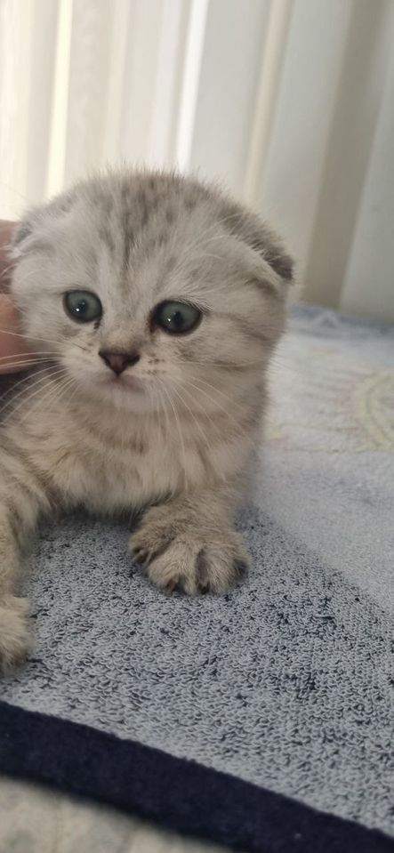 80 USD