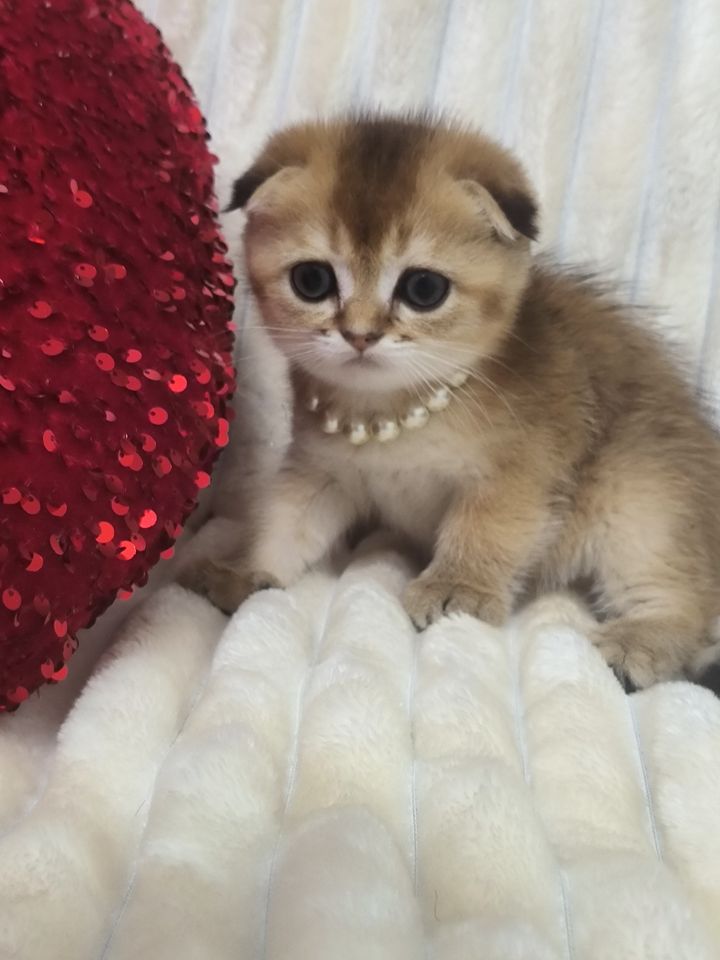 300 USD