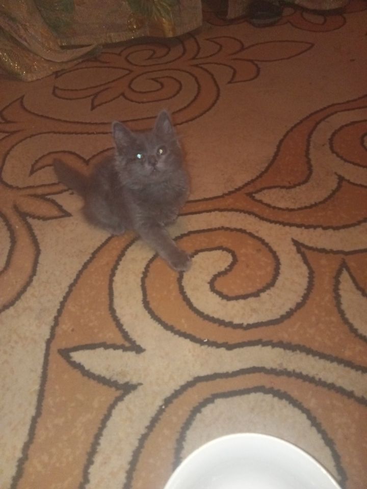 700 000 сум