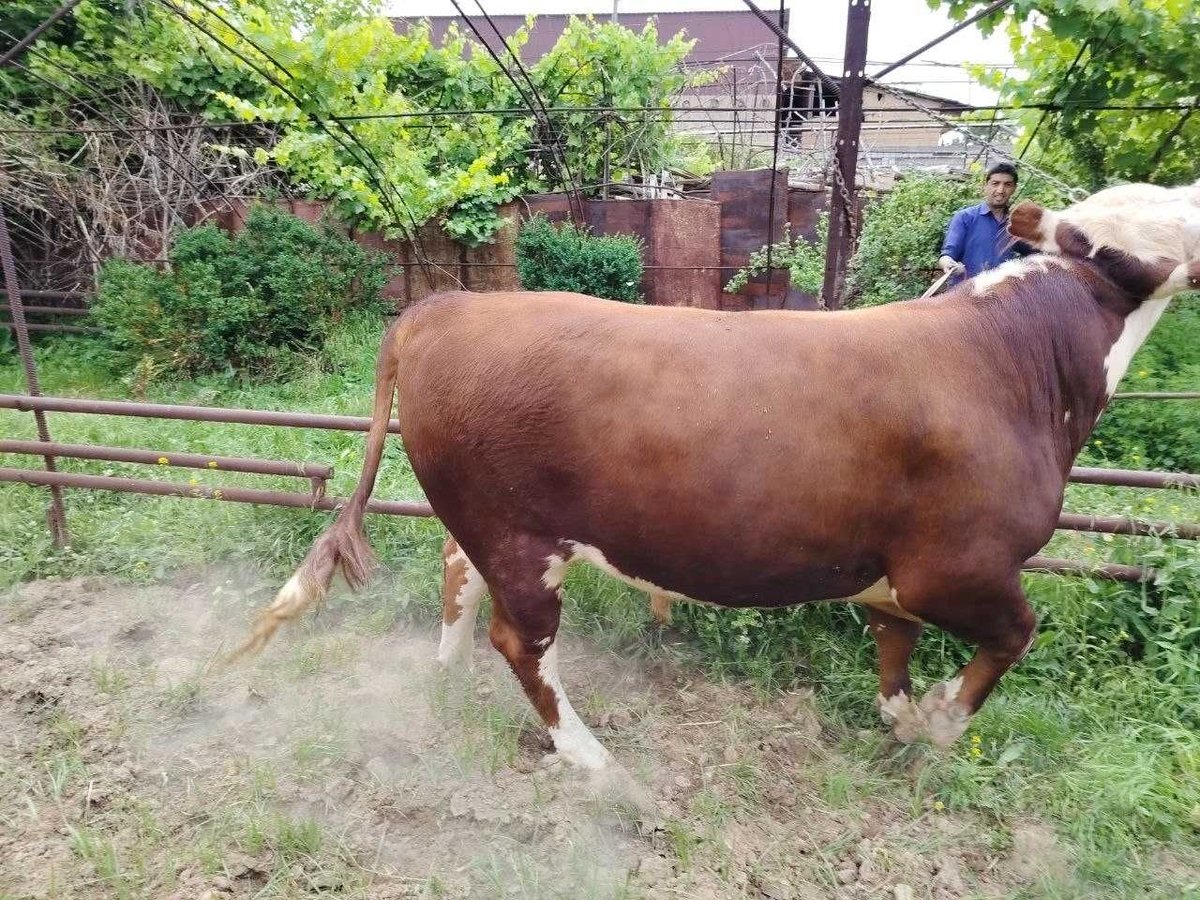 60 USD