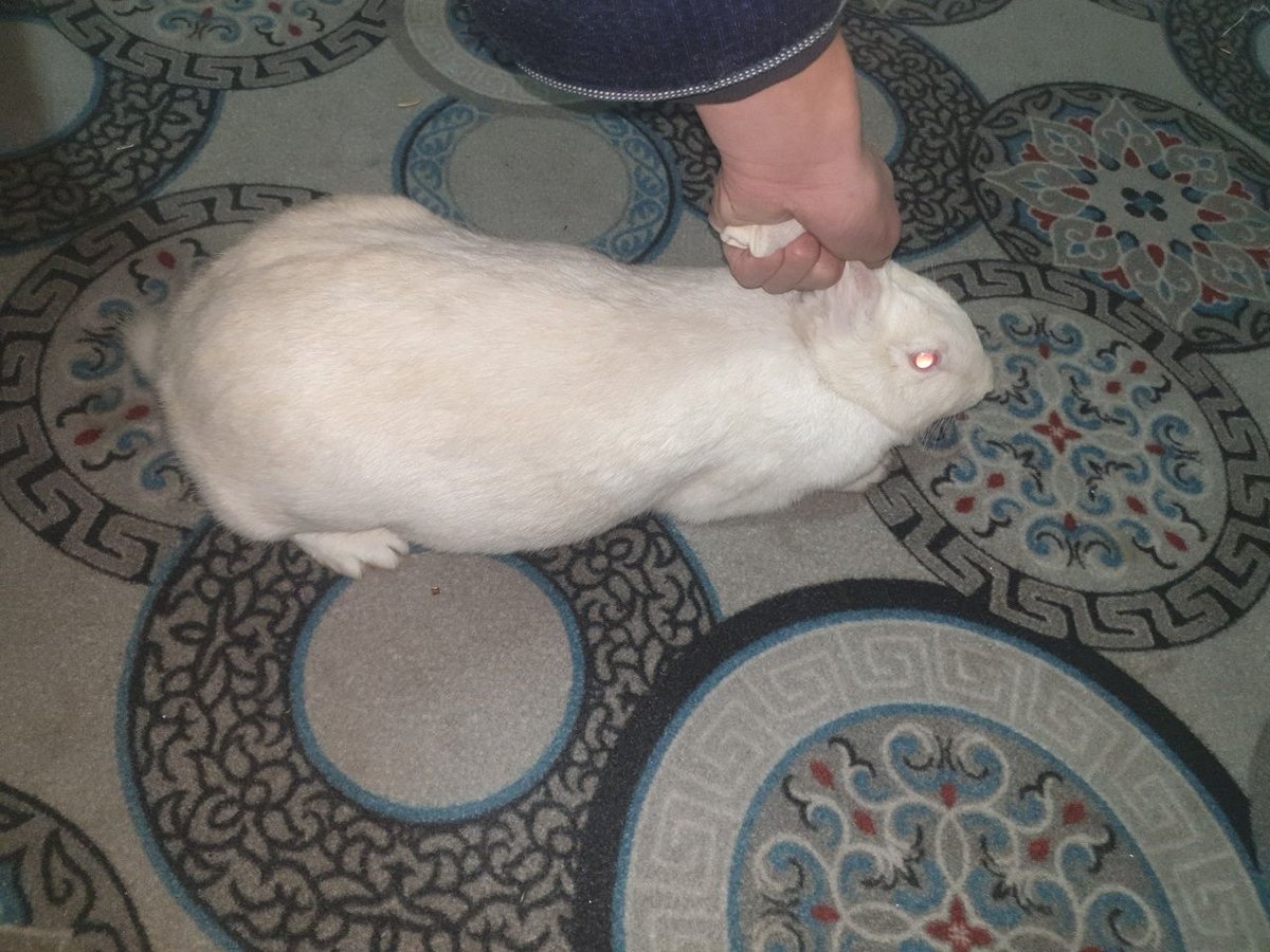 160 090 сум