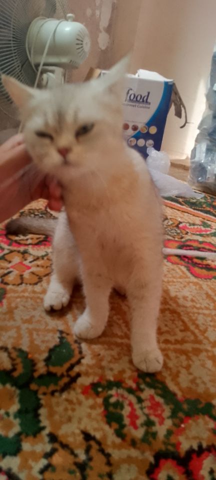 1 200 000 сум