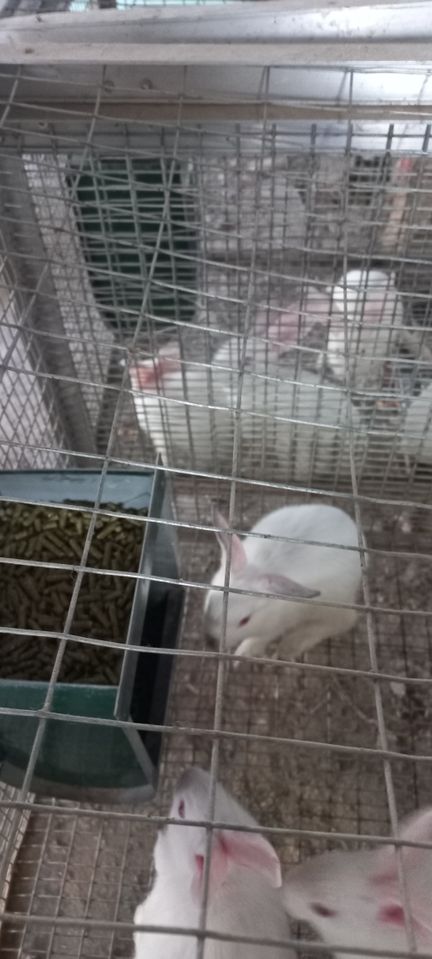 90 000 сум