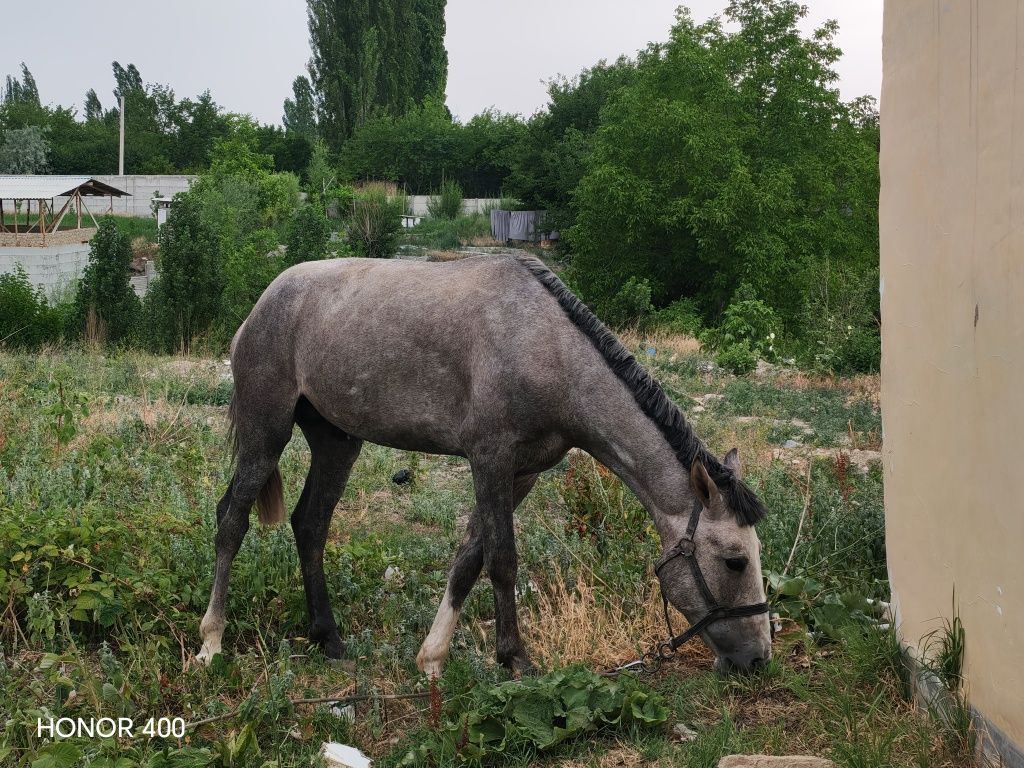 5 500 USD