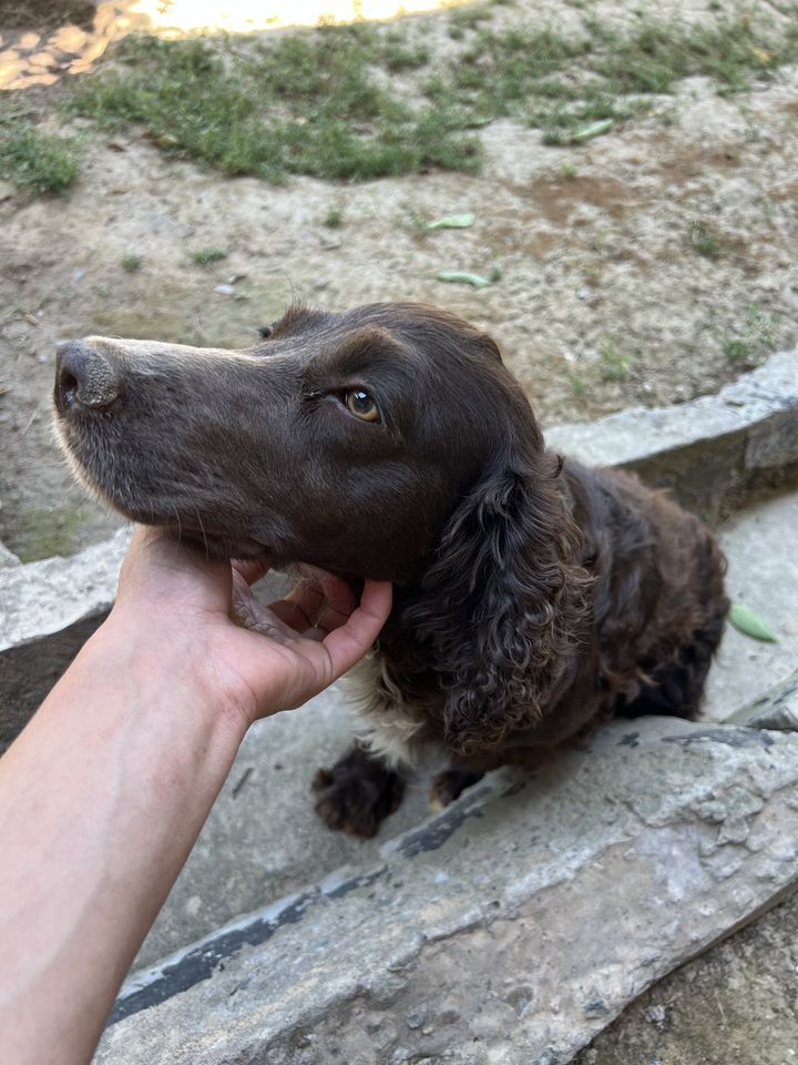 500 000 сум