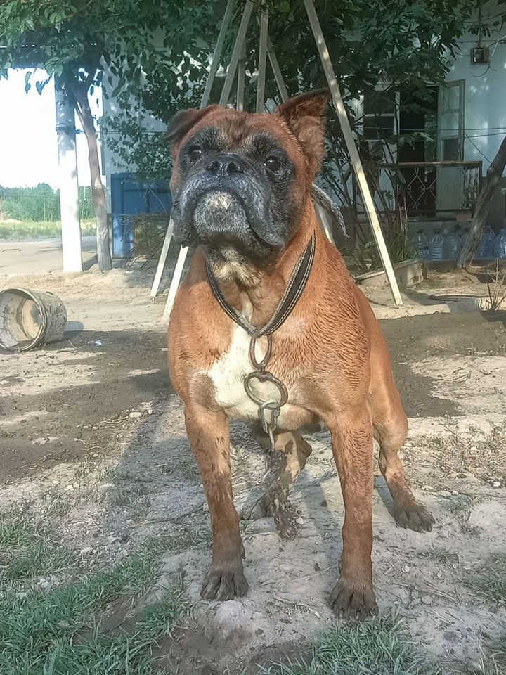 100 USD