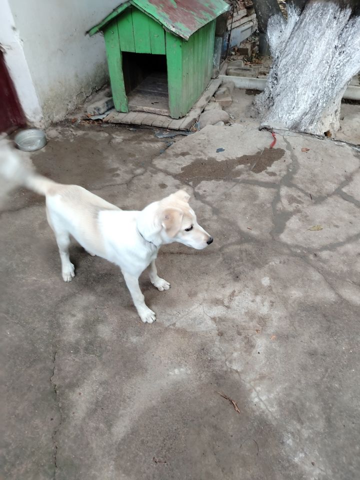 Бесплатно