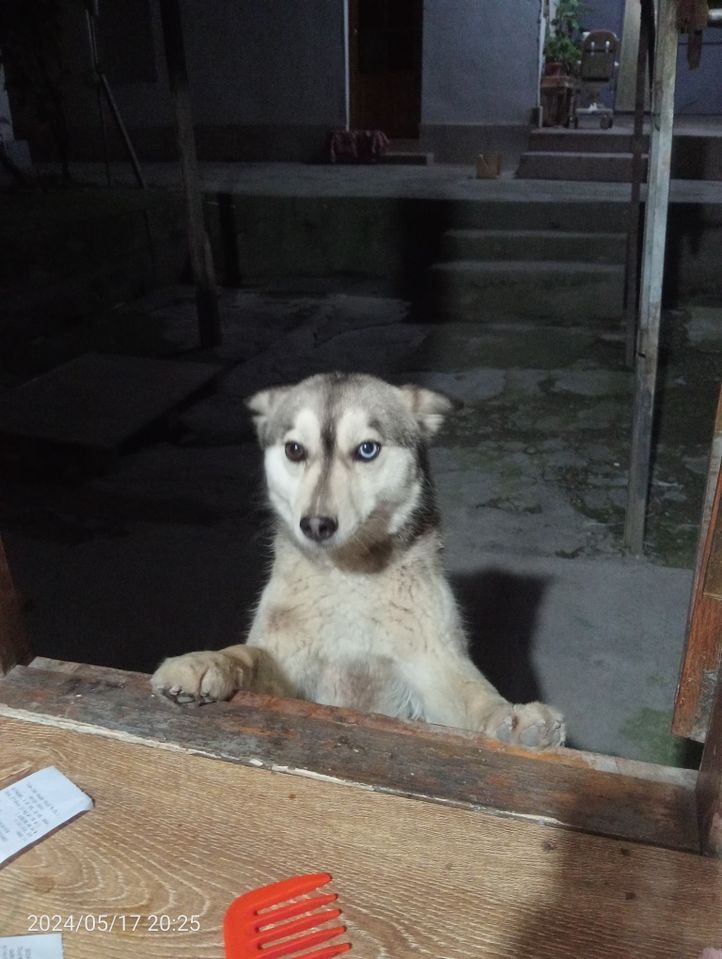 1 000 000 сум