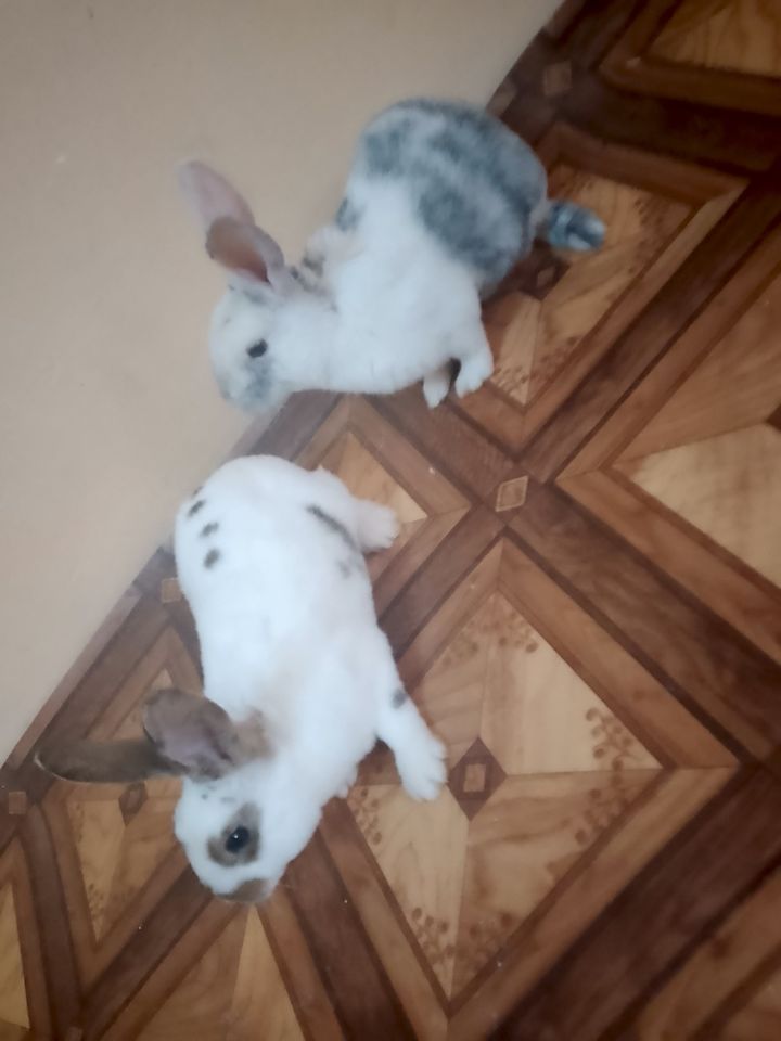 800 000 сум