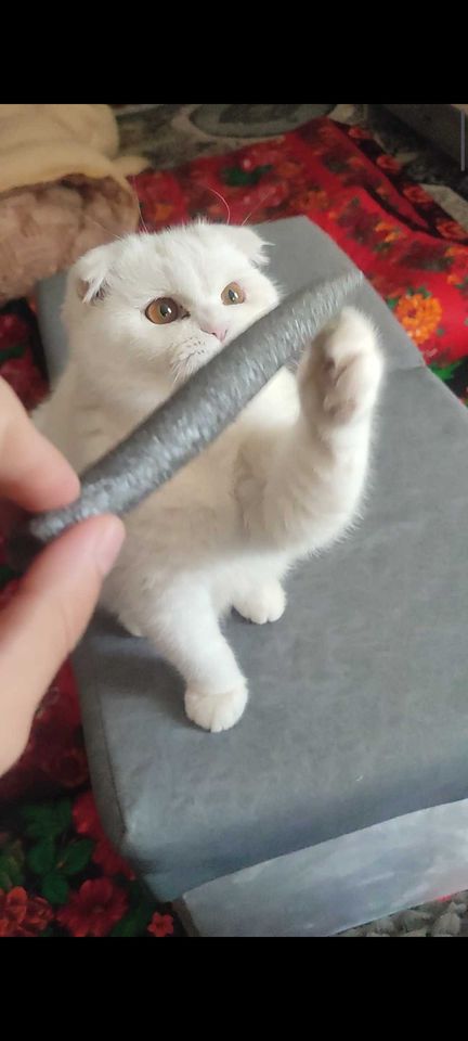 4 500 000 сум