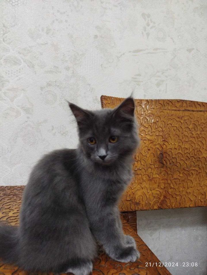 700 000 сум