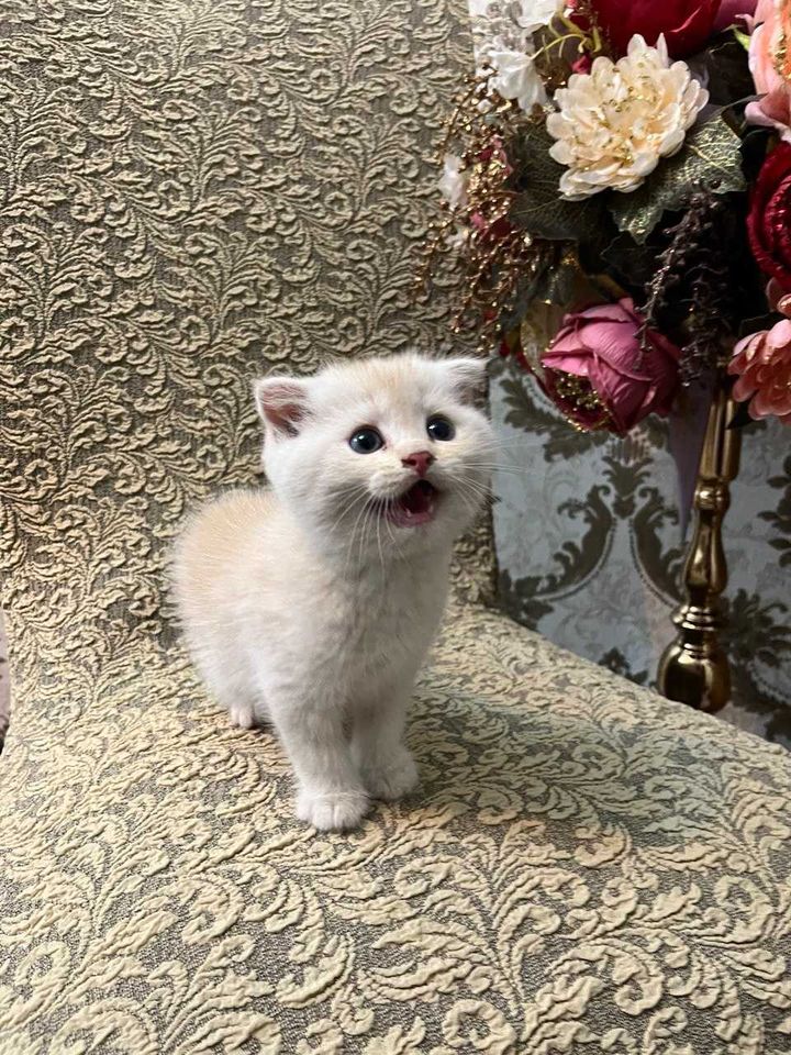 150 USD