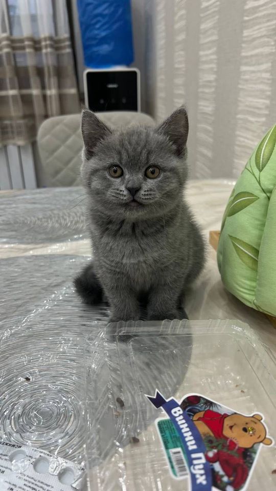 3 000 000 сум