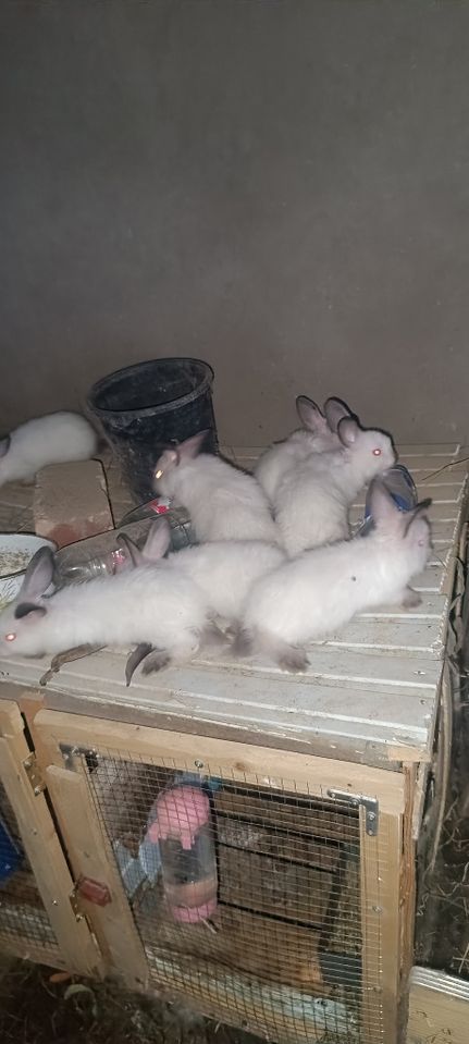 150 000 сум