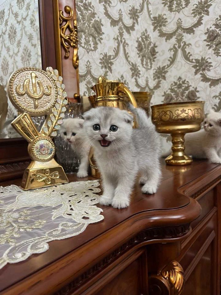 150 USD