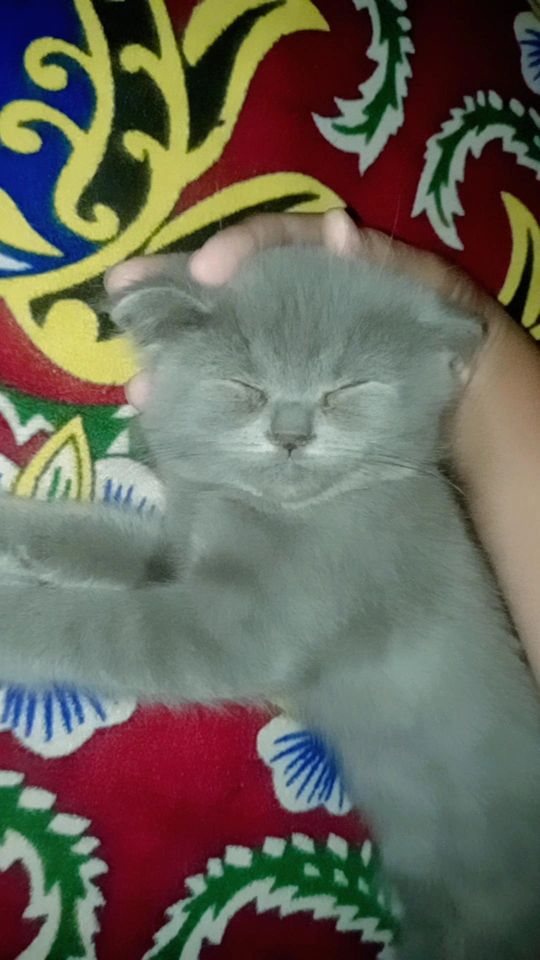 900 000 сум