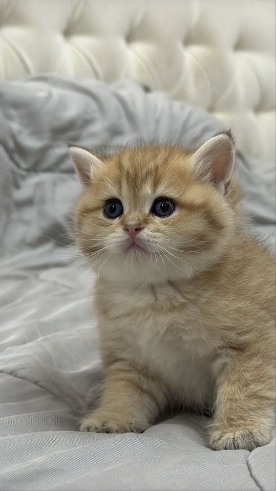 400 USD