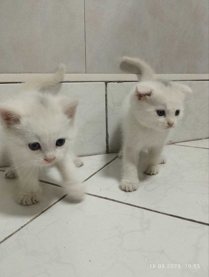 400 000 сум