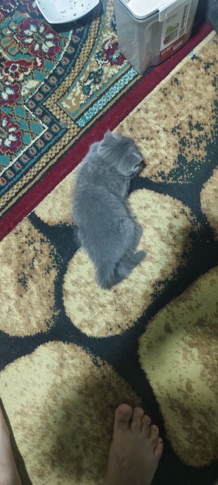 1 200 000 сум