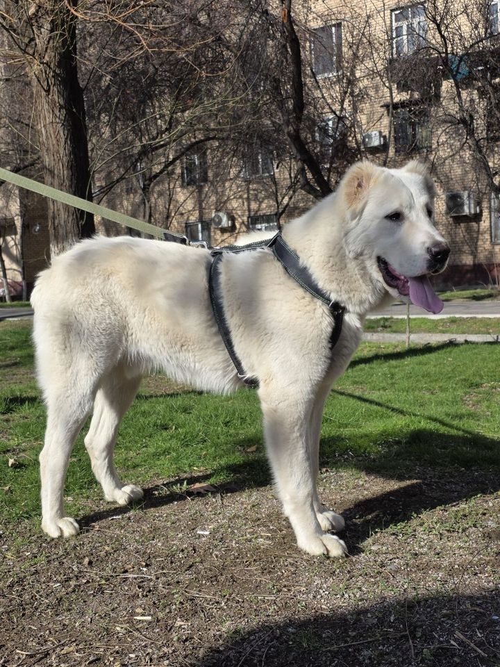 800 USD