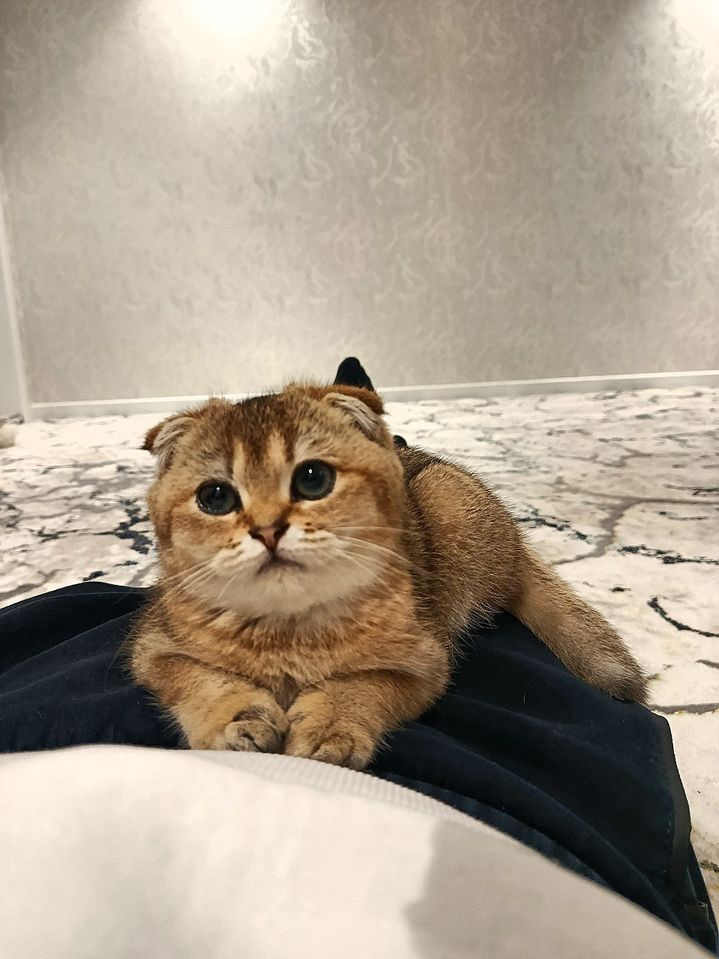 150 USD