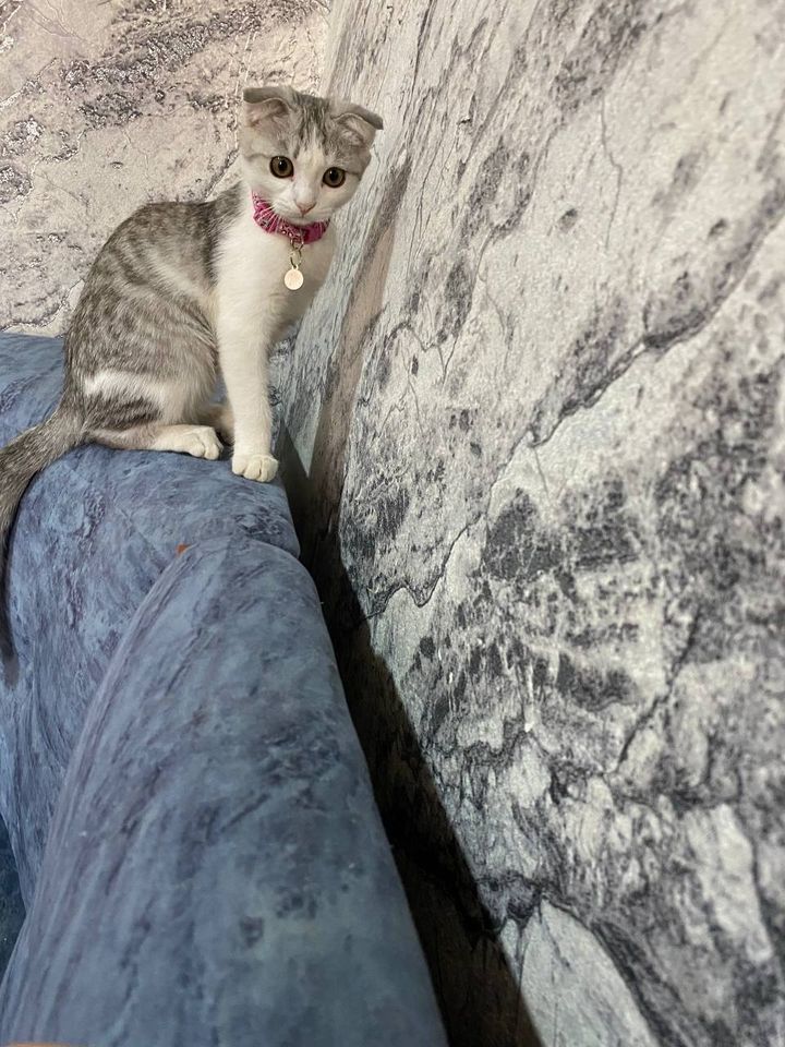 300 000 сум