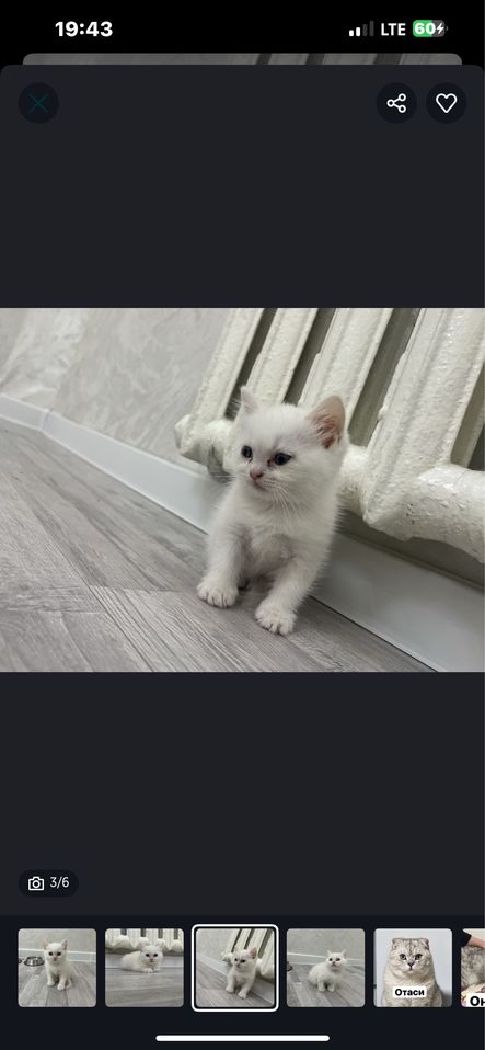 200 000 сум