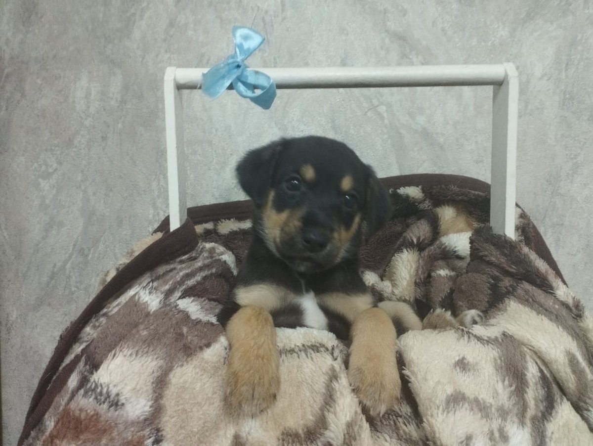 500 000 сум
