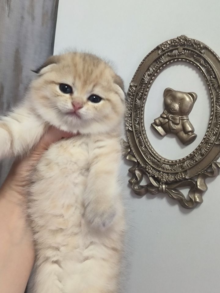 300 USD