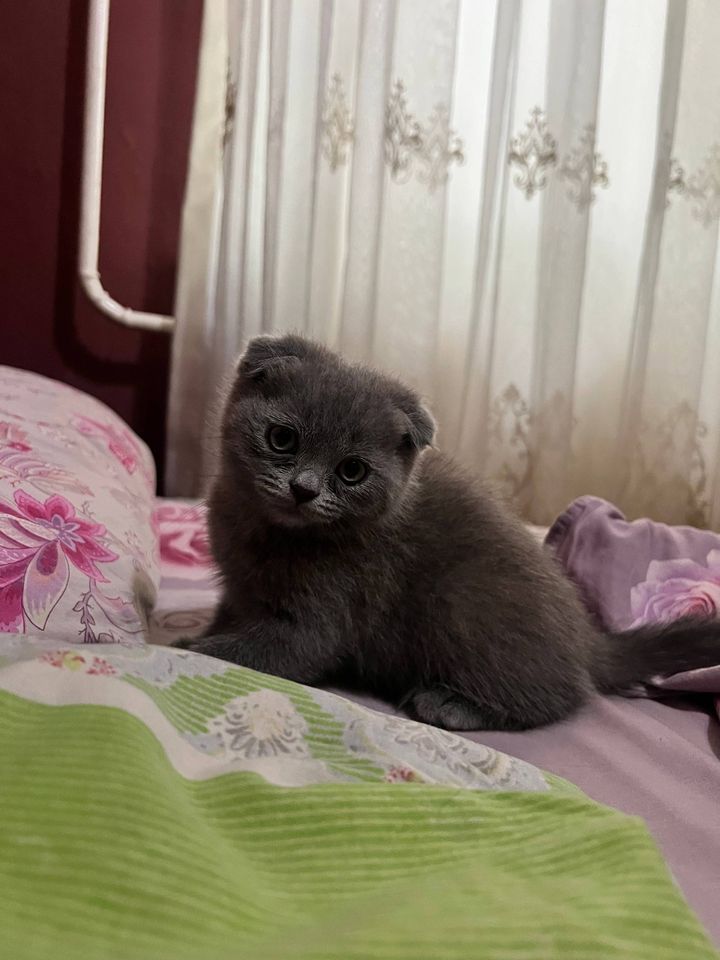 1 000 000 сум