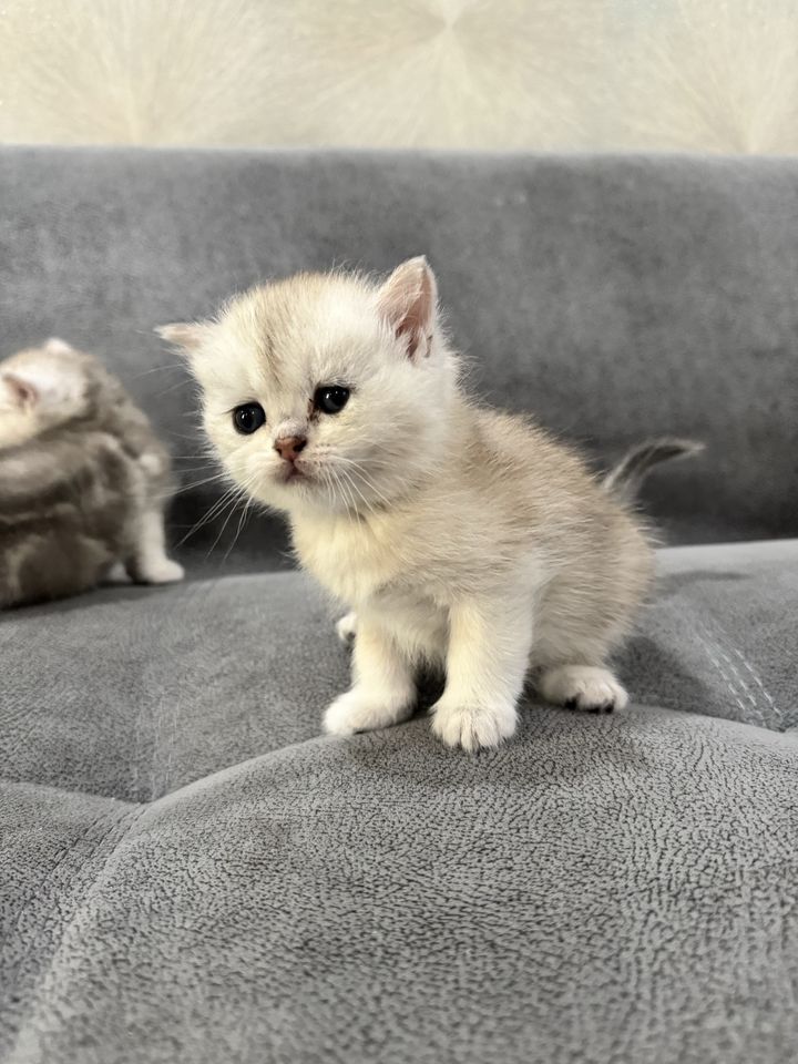 900 000 сум