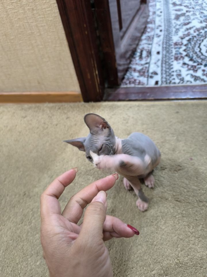 1 200 000 сум