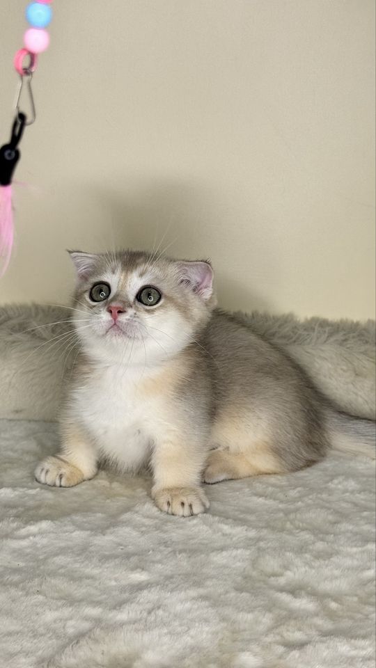 500 USD