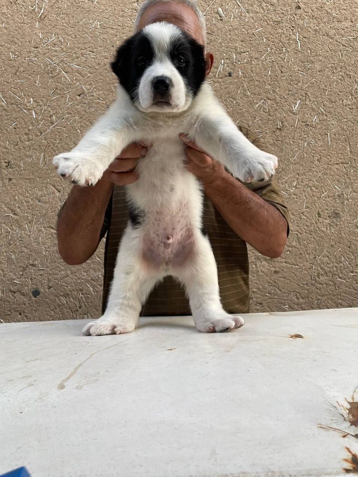 120 USD