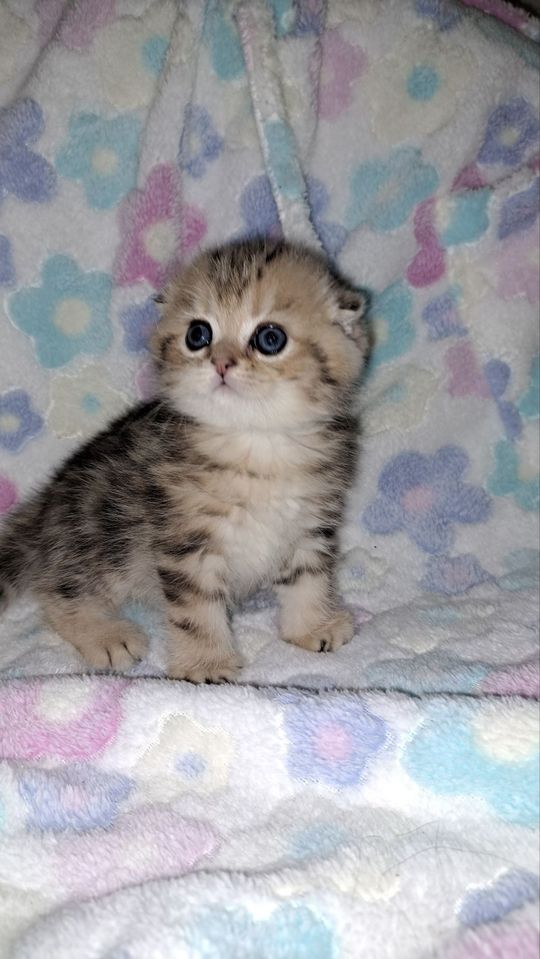 2 500 000 сум