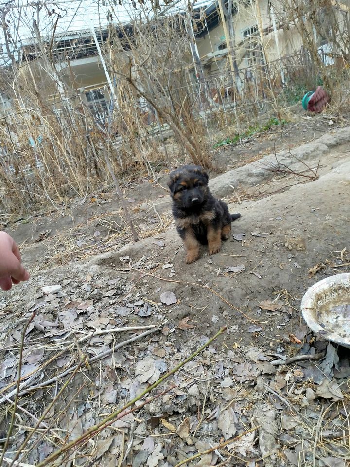 1 300 000 сум