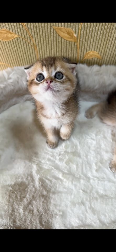 150 USD