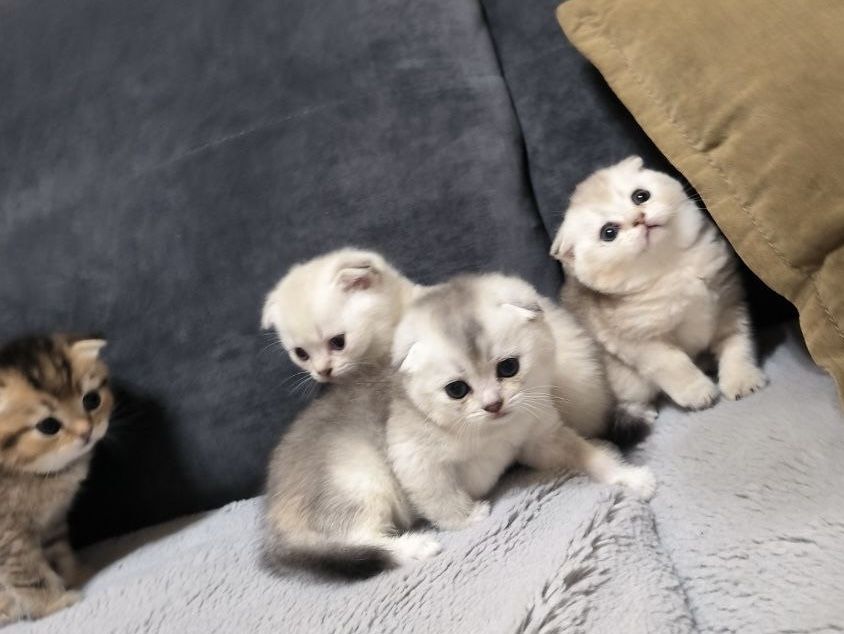 320 USD
