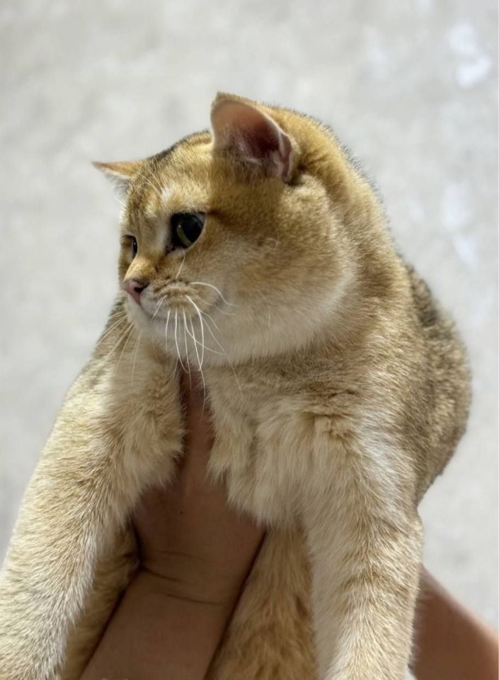 120 USD