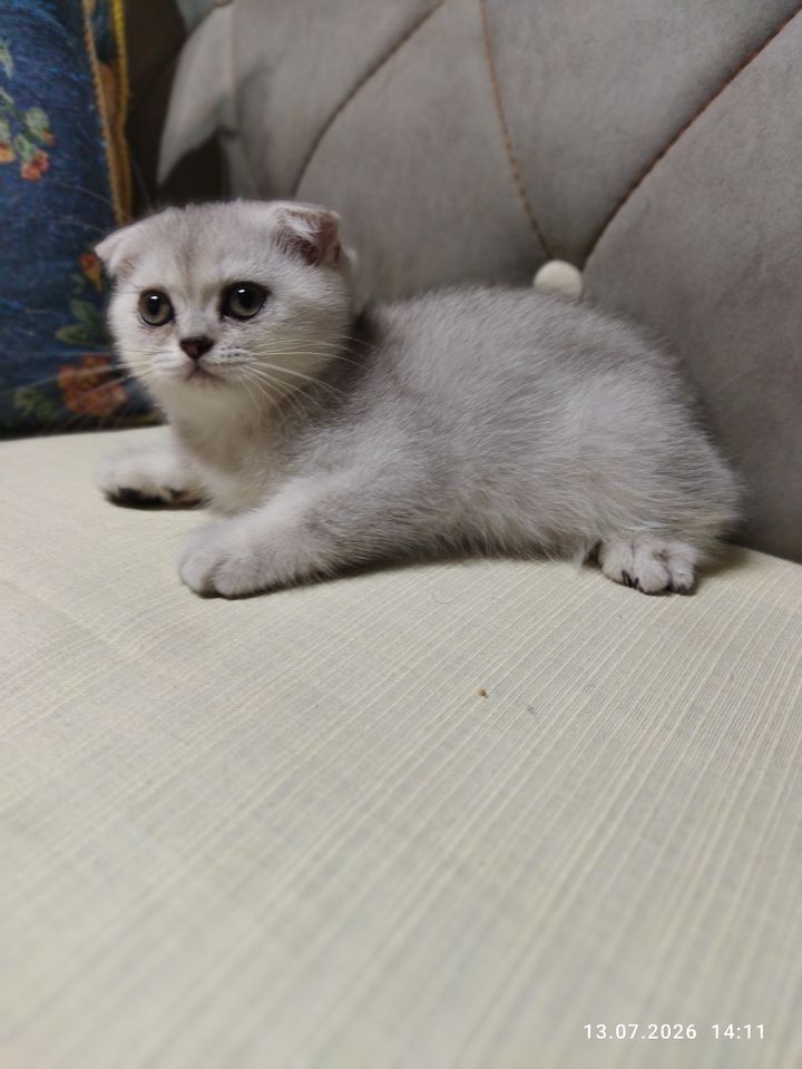 800 000 сум