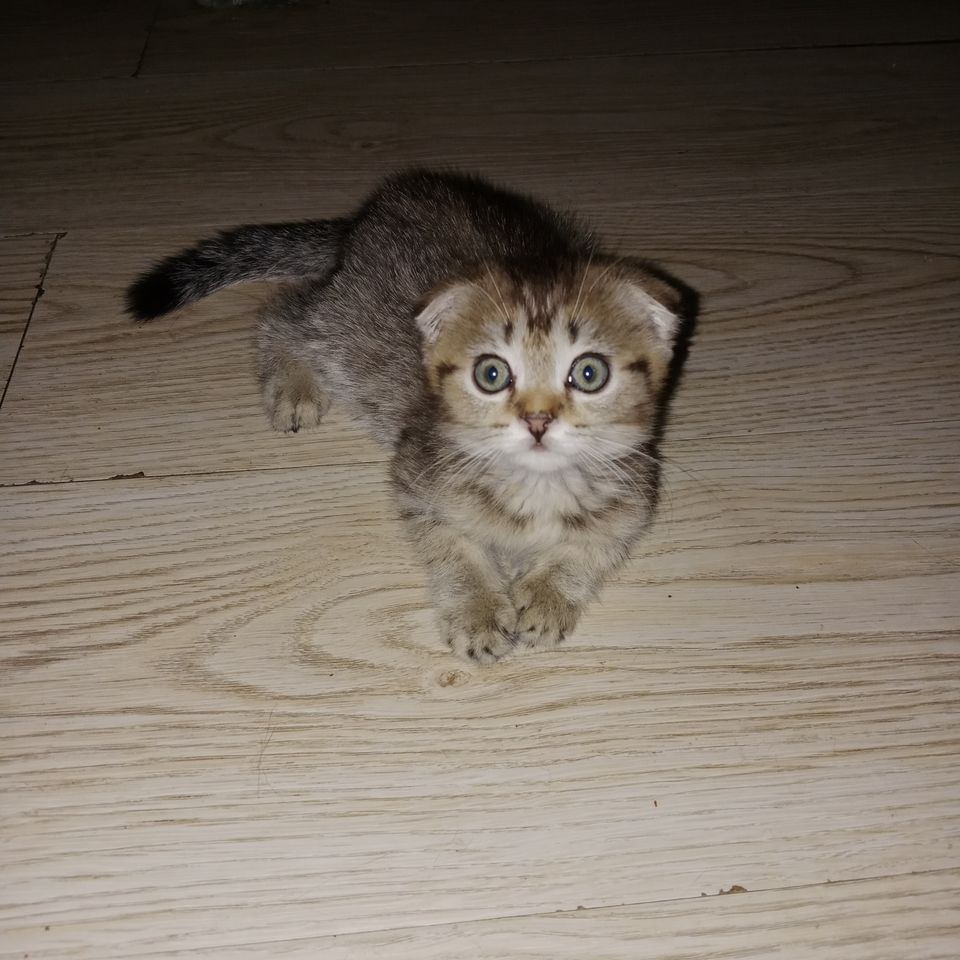 800 000 сум