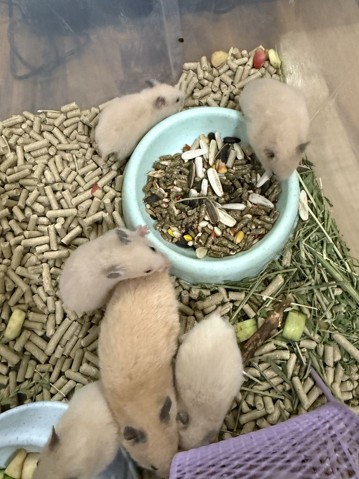 30 000 сум