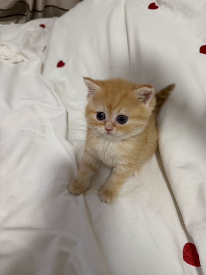 250 USD