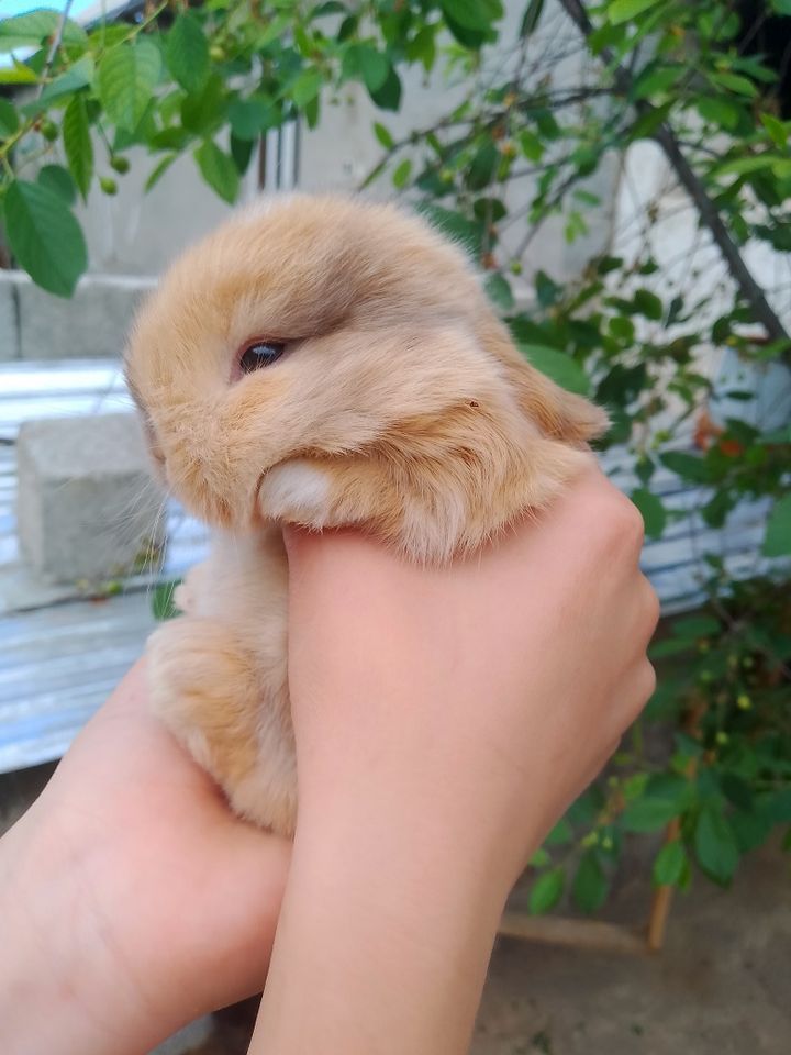 150 000 сум