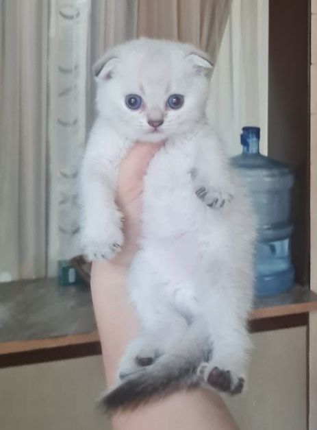 320 USD