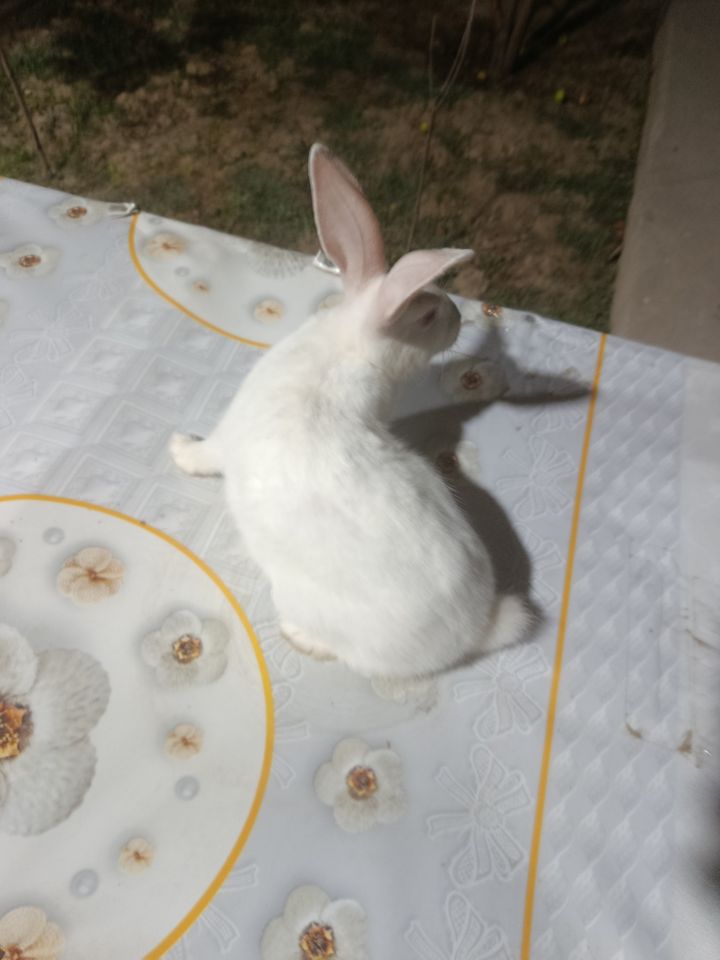 300 000 сум
