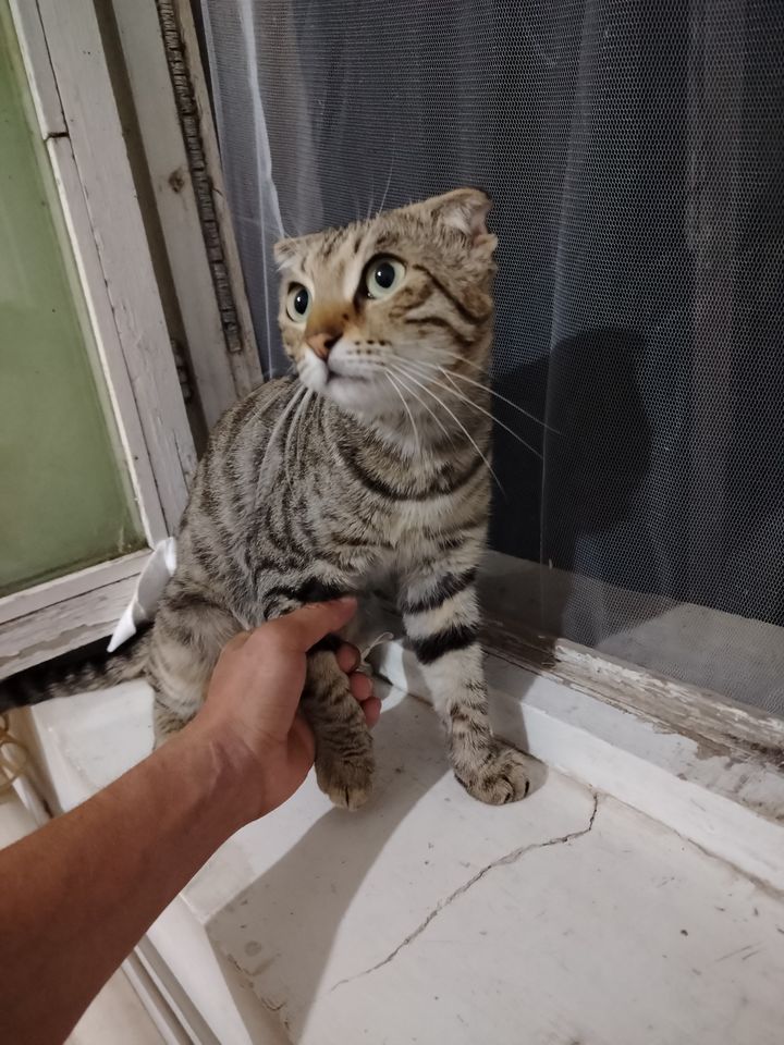 1 000 000 сум