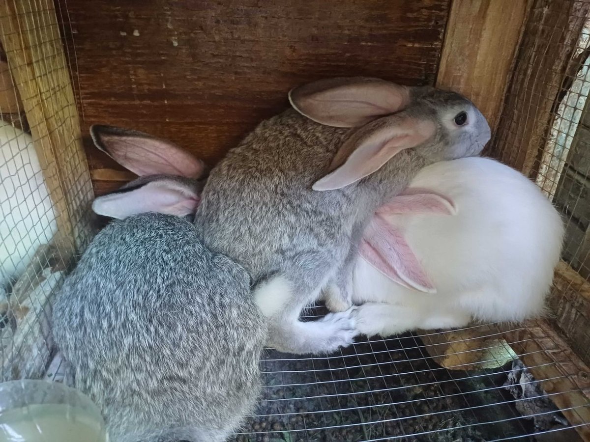 100 000 сум
