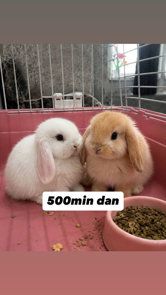 200 000 сум