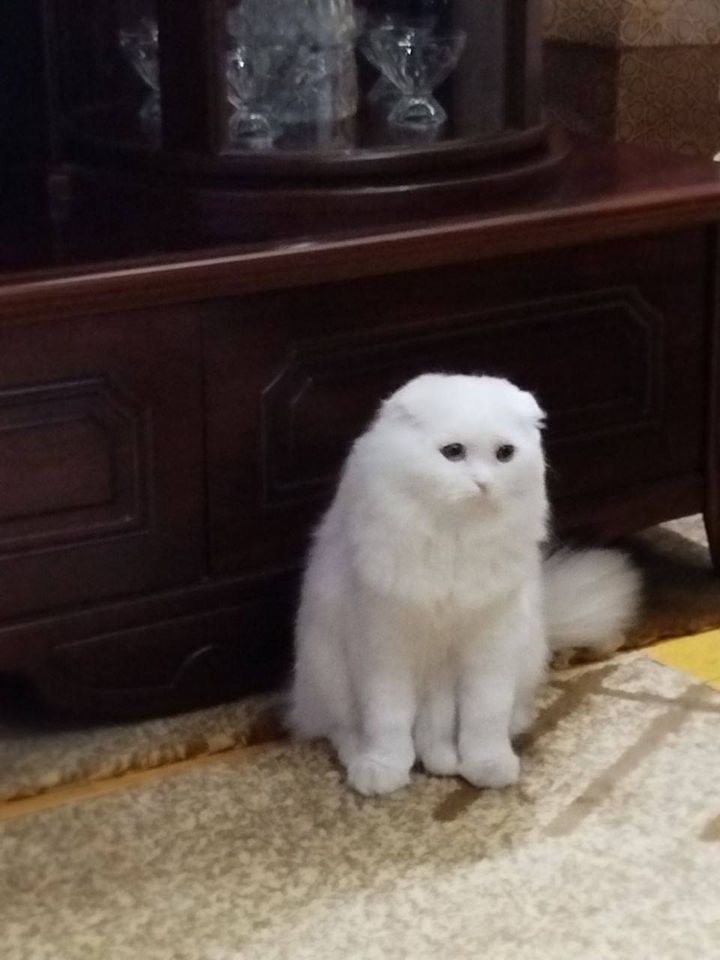 180 USD